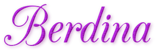 Kaz_Creations Names Berdina Colours - png gratis