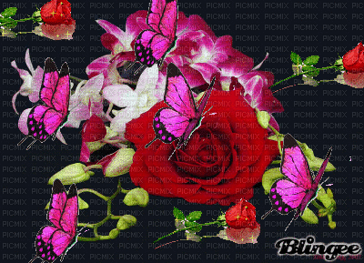 MMarcia gif flores e borboletas - Ilmainen animoitu GIF