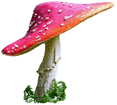 pink toadstool - ücretsiz png