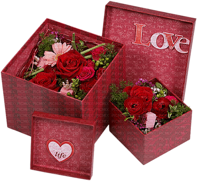 gift  Nitsa 12 valentine - Free PNG
