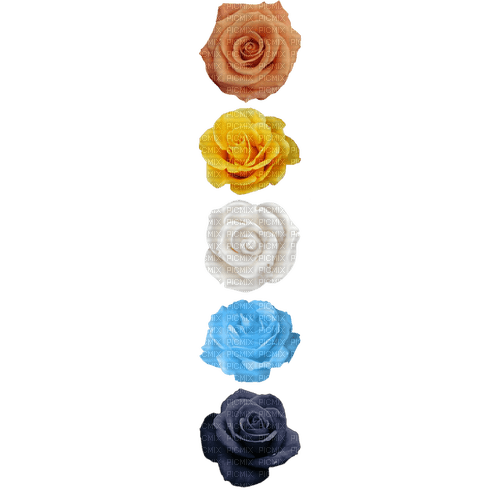 Aroace Roses ♫{By iskra.filcheva}♫ - бесплатно png