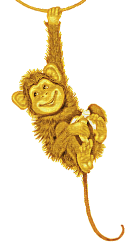 monkey - Darmowy animowany GIF