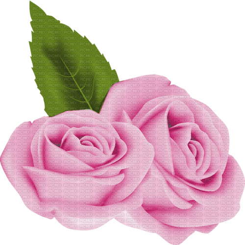 pink rose flower - 無料png