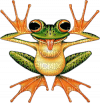 grenouille - δωρεάν png