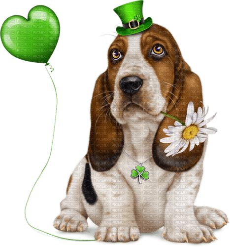 st. Patrick dog  by nataliplus - ücretsiz png