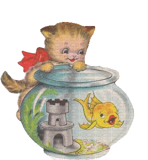 Kätzchen, Fischglas - GIF animado grátis