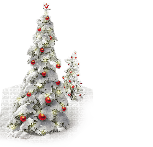 Christmas Trees - Free PNG