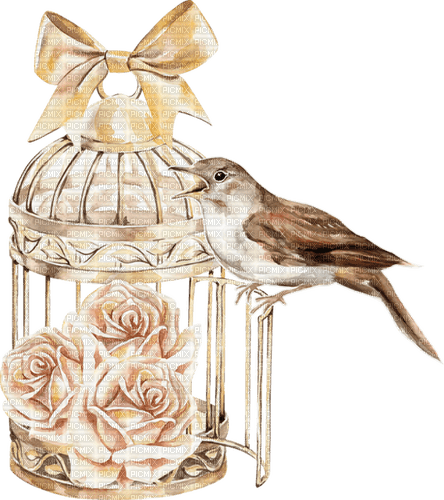 fågel-bur-blommor---bird-cage-flowers - png ฟรี