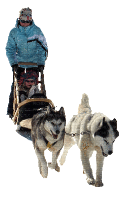 homme avec chiens trainaux - Animovaný GIF zadarmo