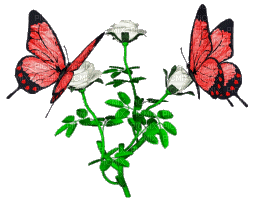 fiori farfalla - GIF animé gratuit