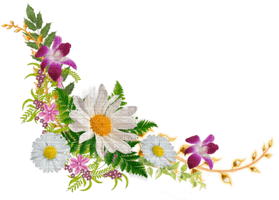 Kaz_Creations Deco Corner Flowers Colours - PNG gratuit