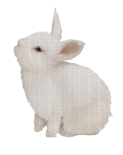 hase rabbit milla1959 - darmowe png