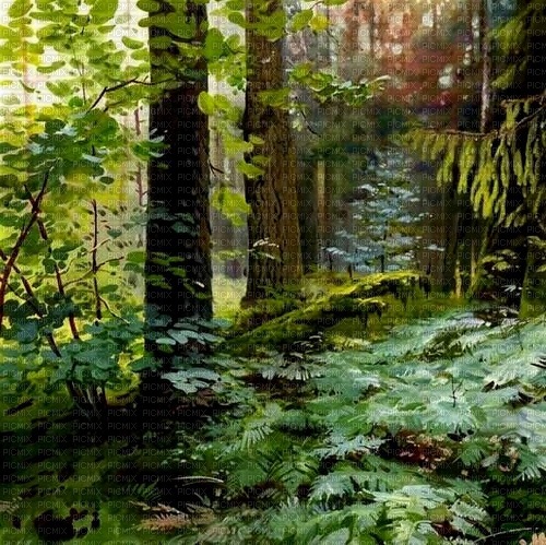 Акварельный лесной фон - darmowe png
