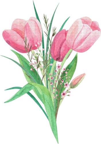 pink tulips watercolor Bb2 - darmowe png