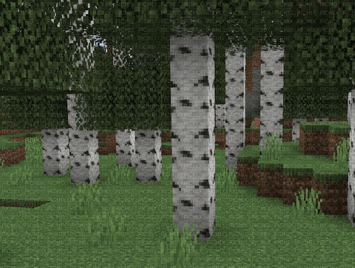 minecraft birch forest - zadarmo png