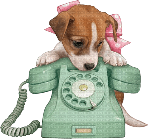 puppy/phone - png ฟรี