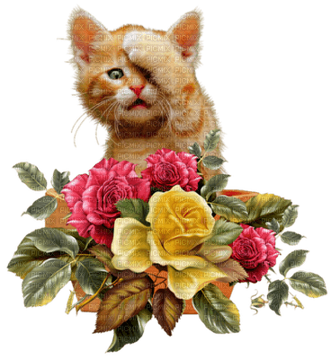 Kaz_Creations Cats Cat Kittens Kitten Flowers - png gratis