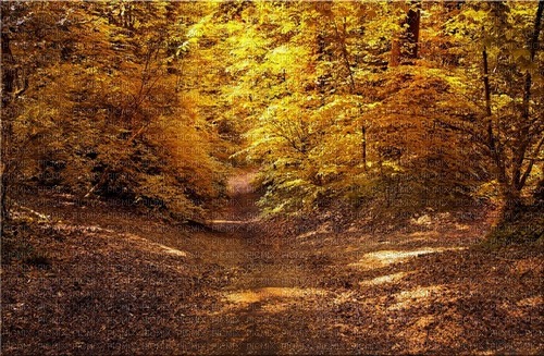 landskap-höst-------landscape--autumn - zdarma png