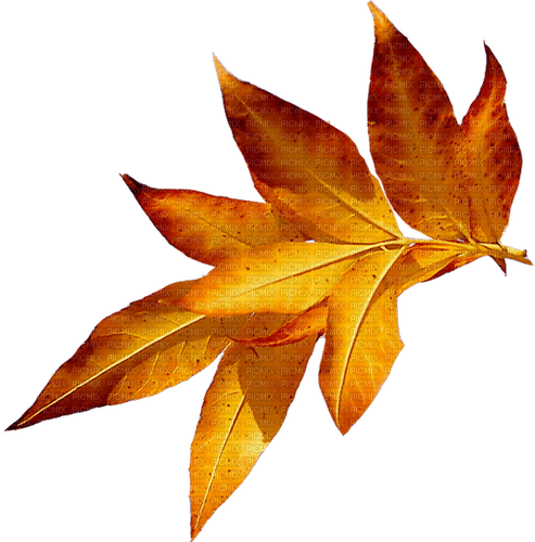 kikkapink deco scrap leaf leaves orange - 無料png