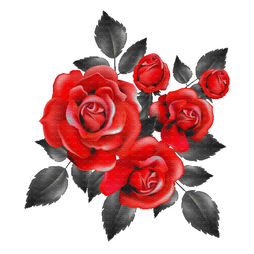 nbl-rose - Darmowy animowany GIF