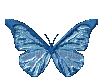 butterfly whit schlappi50 - GIF animate gratis