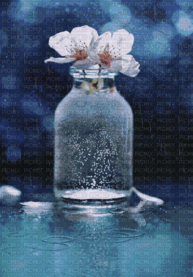 flores - 無料のアニメーション GIF