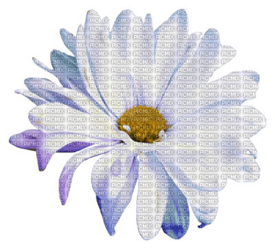 Kwiatki kwiat - ücretsiz png