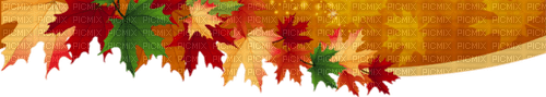 autumn/decoration - бесплатно png