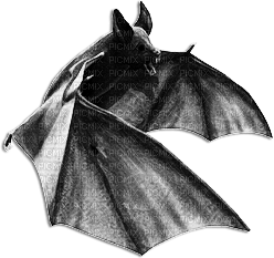 soave deco bat gothic halloween black white - PNG gratuit