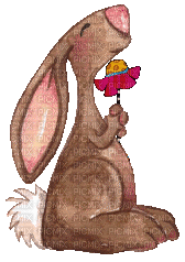 Rabbit, Rabbits, Bunny, Bunnies, Animal, Animals,  Easter - Jitter.Bug.Girl - Zdarma animovaný GIF