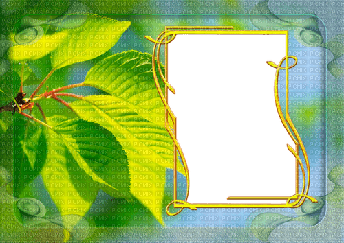 frame--blad-grön - ücretsiz png