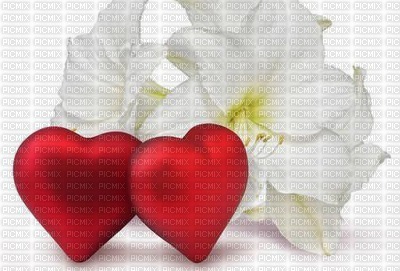 flores y corazones - 免费PNG