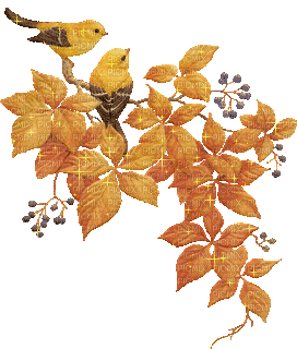 Autumn - Ücretsiz animasyonlu GIF