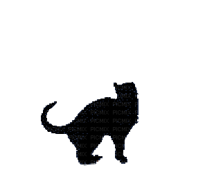 Katze, cat - Zdarma animovaný GIF