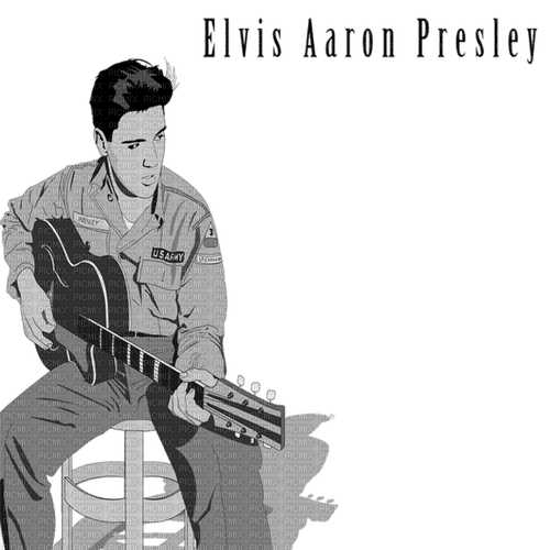 Elvis Presley milla1959 - gratis png