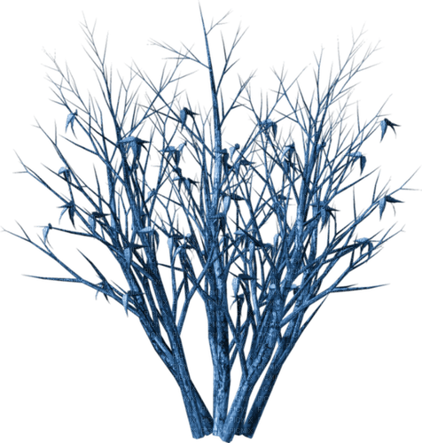 rama seca de invierno - 免费PNG