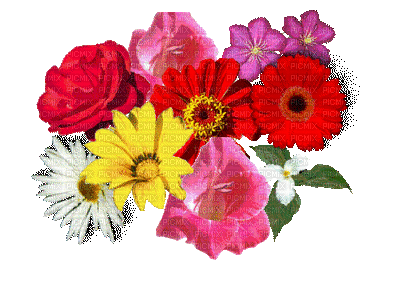 flores - Ingyenes animált GIF