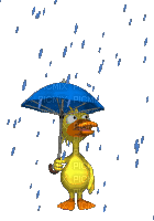 Patito con paraguas - Безплатен анимиран GIF