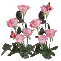 dulcineia8 rosas - Бесплатный анимированный гифка