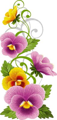 pansy flowers bp - png grátis