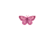 papillon rose animé