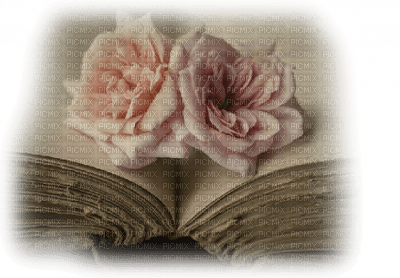 minou-book-rose - besplatni png