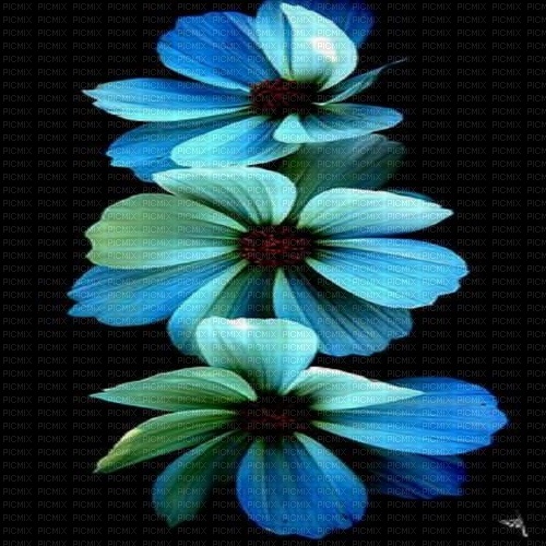 floral background - darmowe png