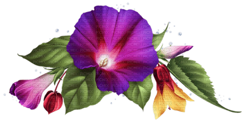 Flores campana - png gratis