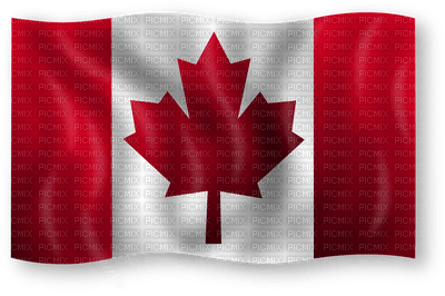 canada kanada  flag flagge drapeau deco tube  football soccer fußball sports sport sportif - Free PNG