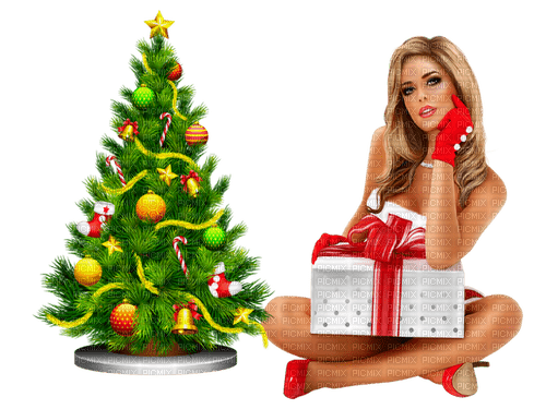 Sexy Santa woman Adam64 - png gratuito