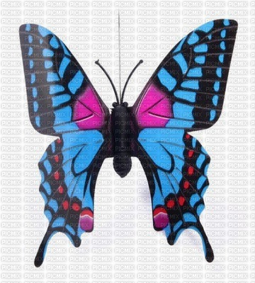 ROXY BUTTERFLY - δωρεάν png