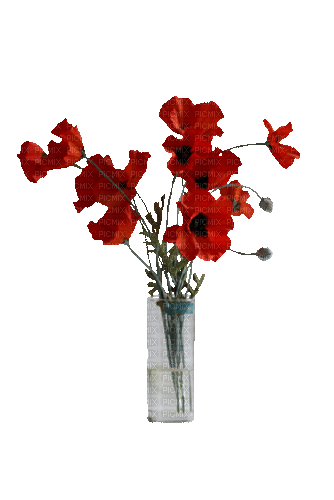 Bloemen en planten - Free animated GIF
