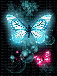 image encre animé effet papillon - Zdarma animovaný GIF