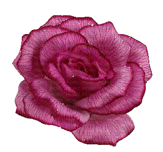 Rose.Fleur-Flower.Pink.Victoriabea - GIF animé gratuit